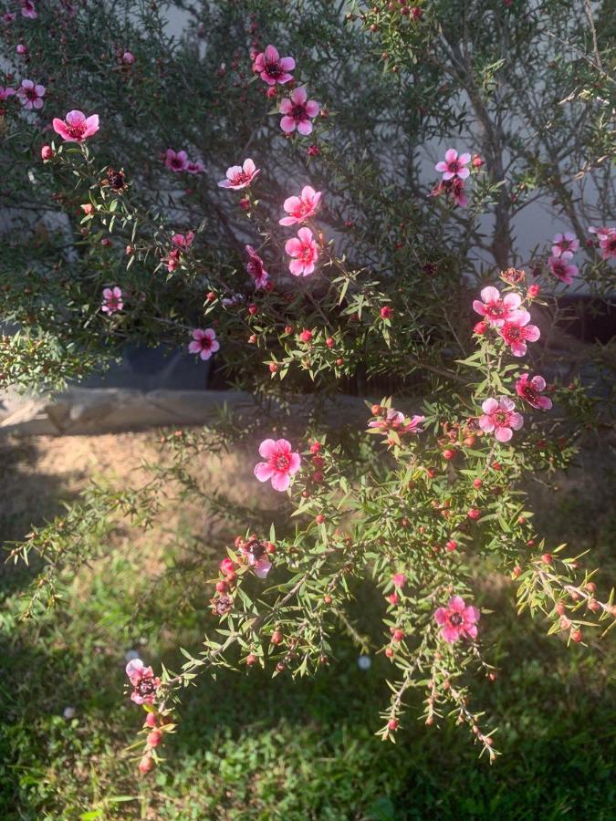 B&B Monte Di Portofino 산타마르게리타리구레 외부 사진