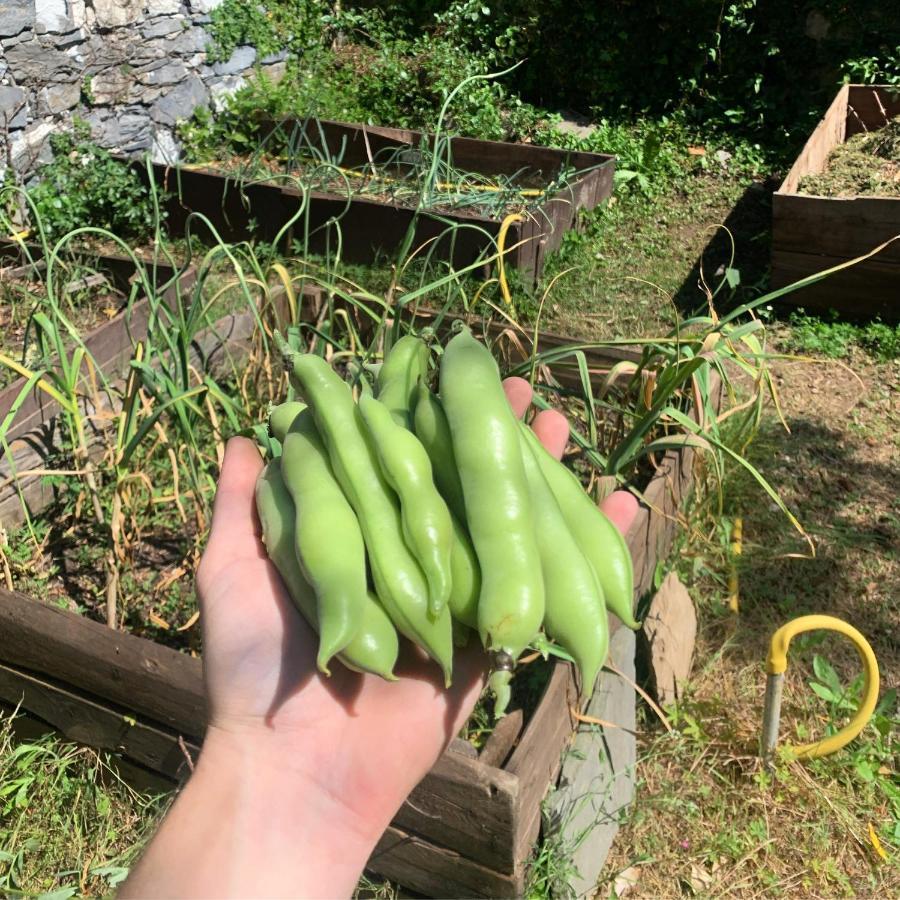 B&B Monte Di Portofino 산타마르게리타리구레 외부 사진